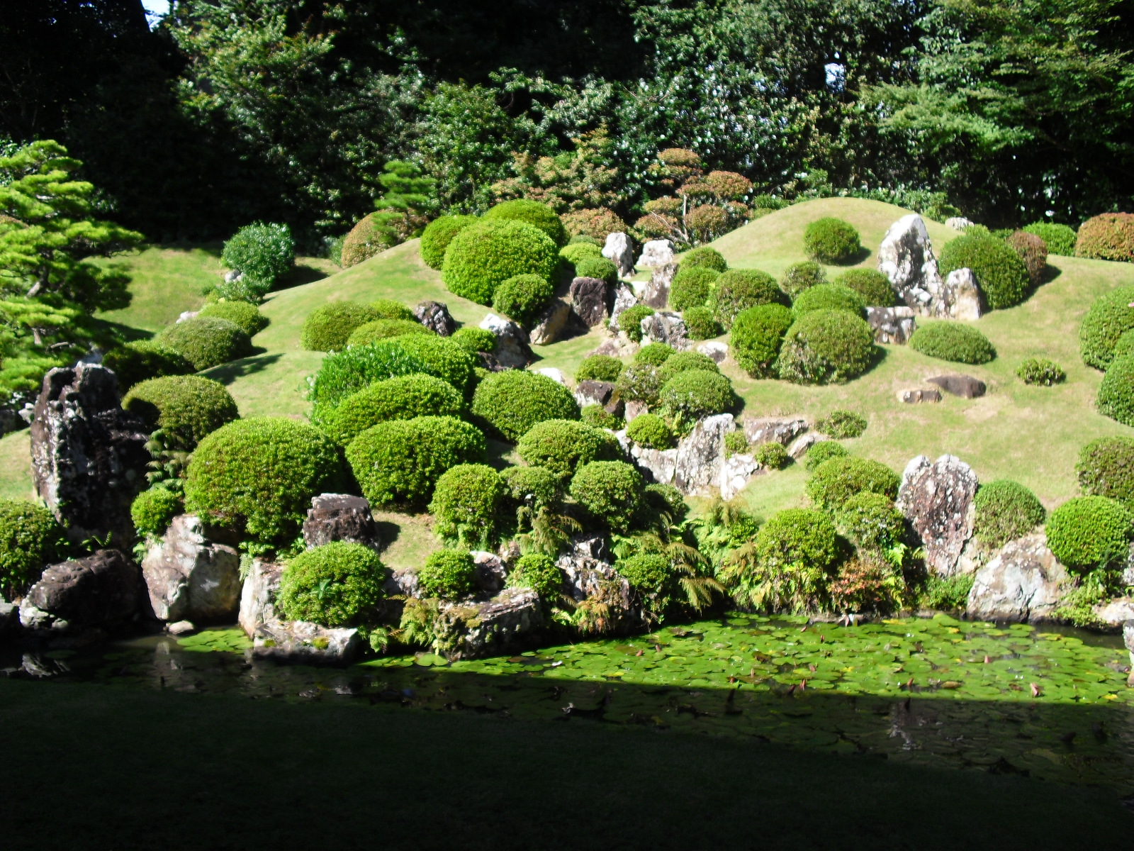 Vol.43:日本庭園に学ぶ美しさ