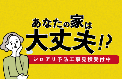 シロアリ予防工事見積キャンペーン